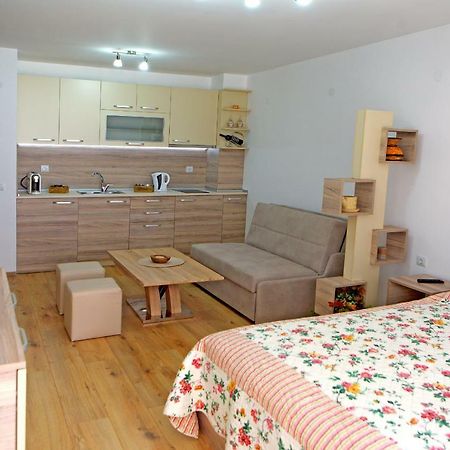 Studio Top City Center Sandanski Exterior photo